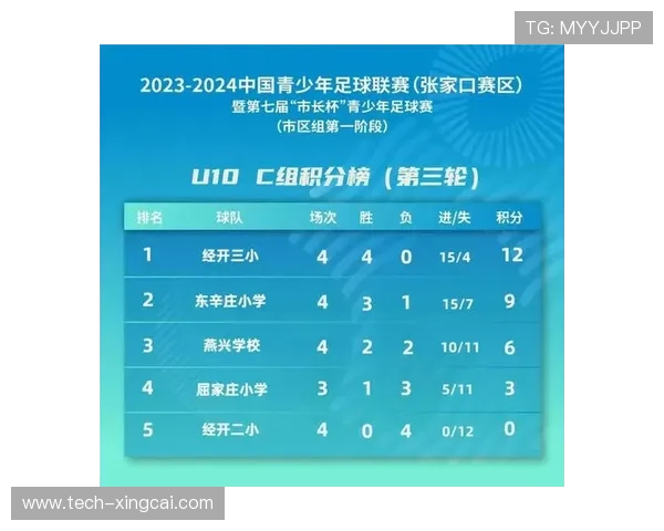 北京足球联赛最新积分榜及各队实力排名解析